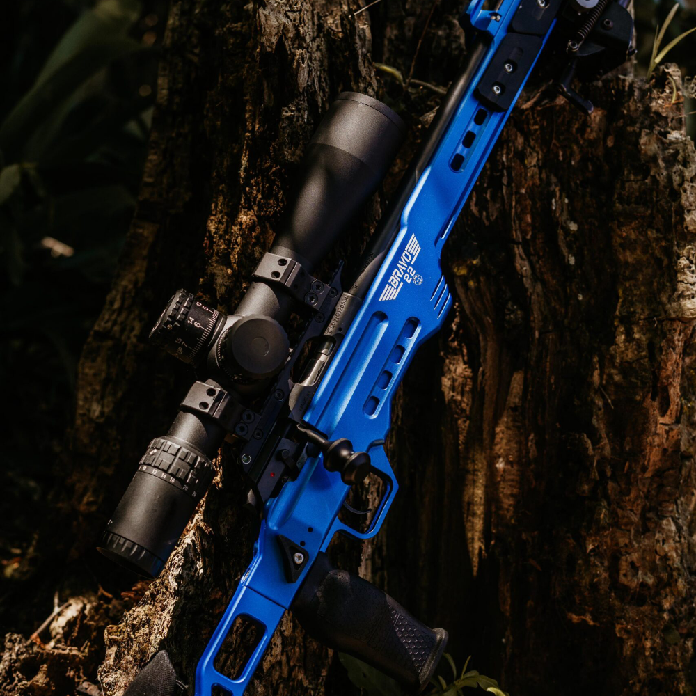 BRAVO .22