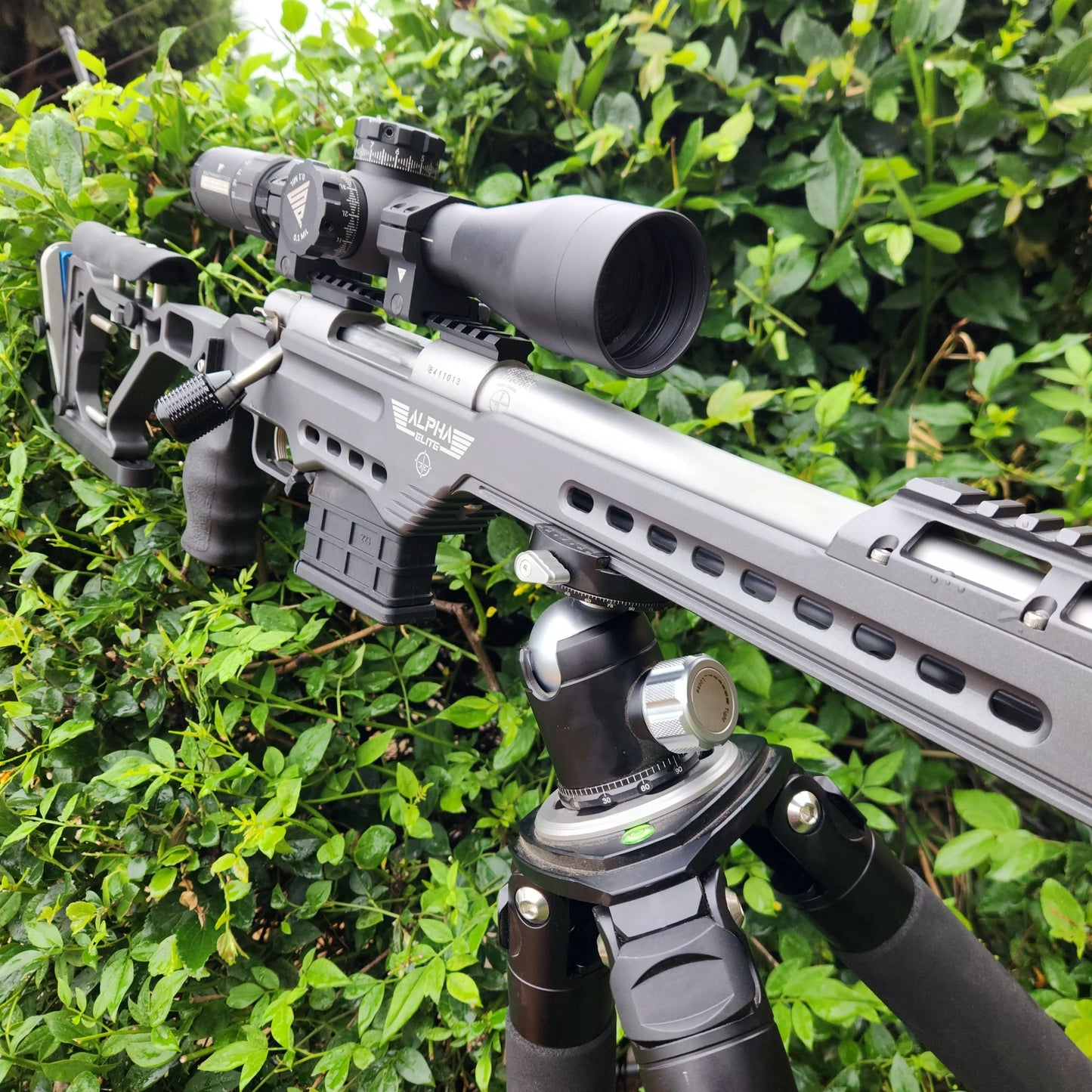 ALPHA ELITE